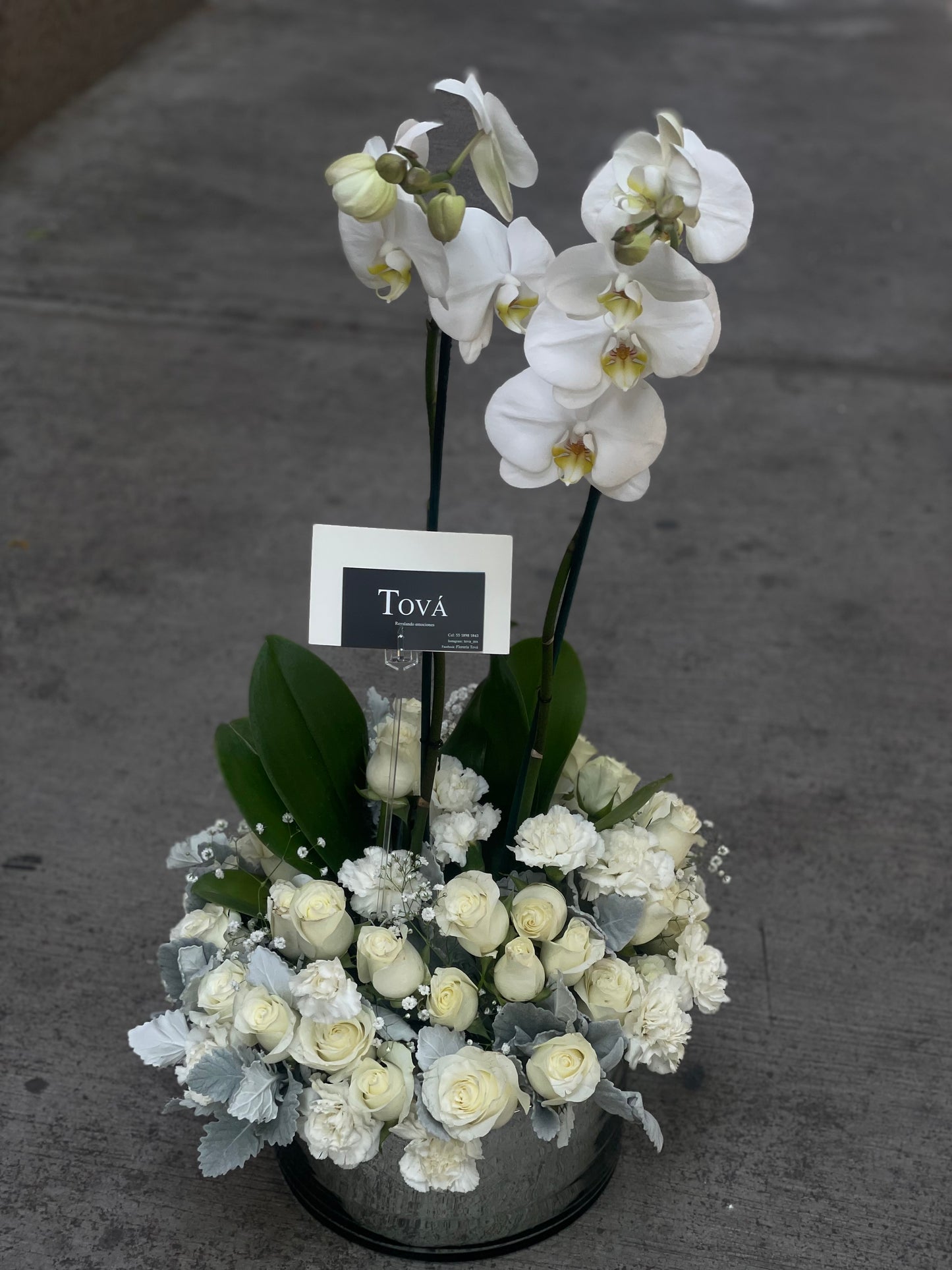 Arreglo Floral con Orquídea | Orquerose