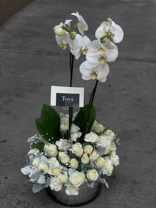 Arreglo Floral con Orquídea | Orquerose