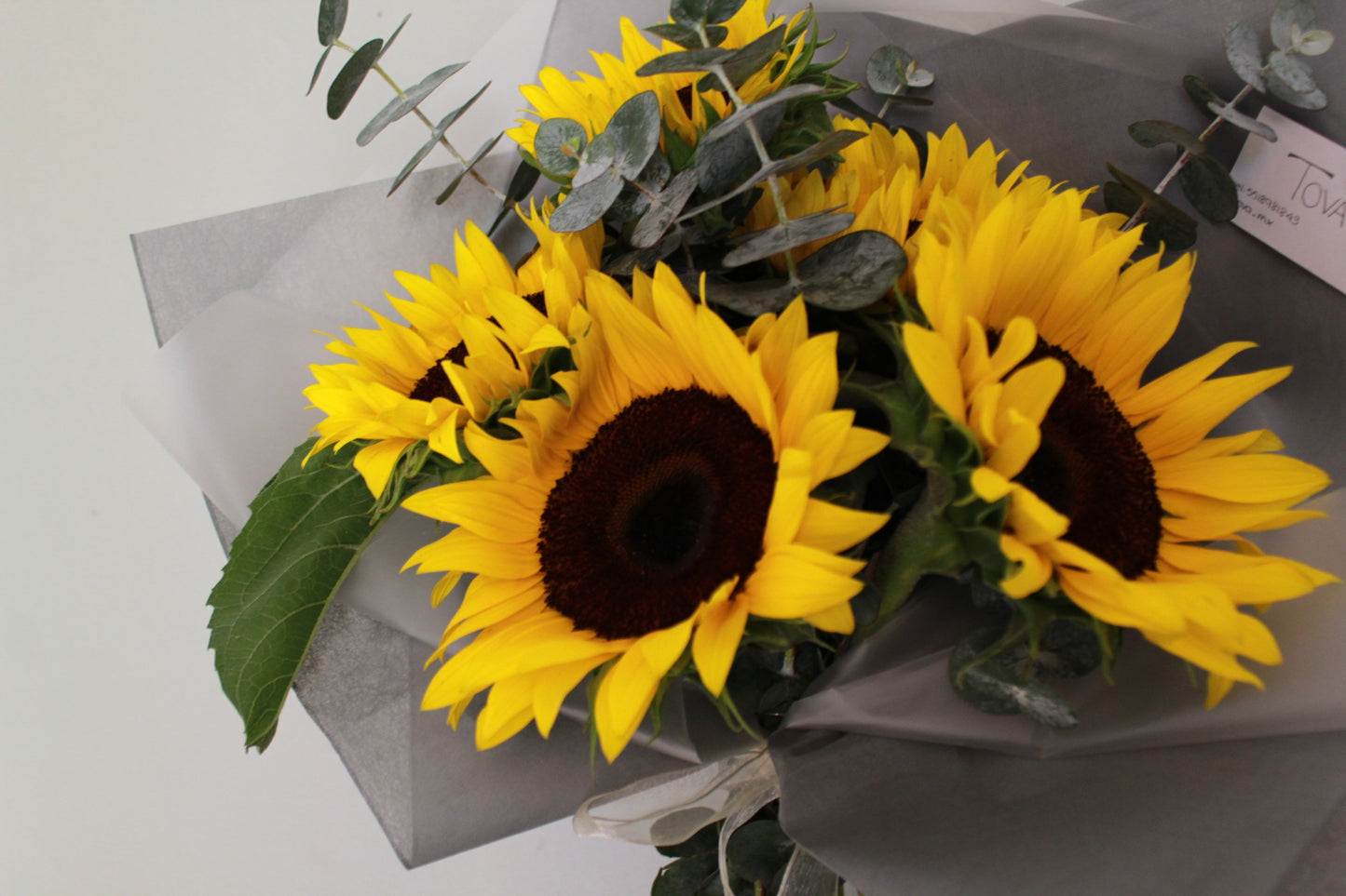 5 girasoles con follaje.