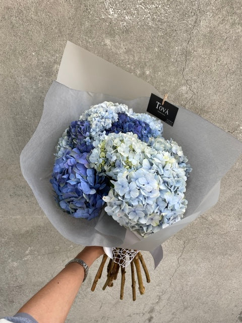 Hortensias azules.