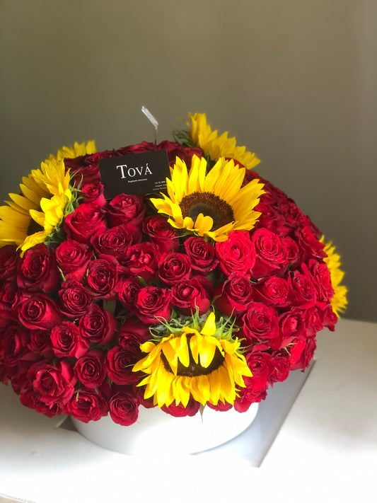 Más de 200 rosas.