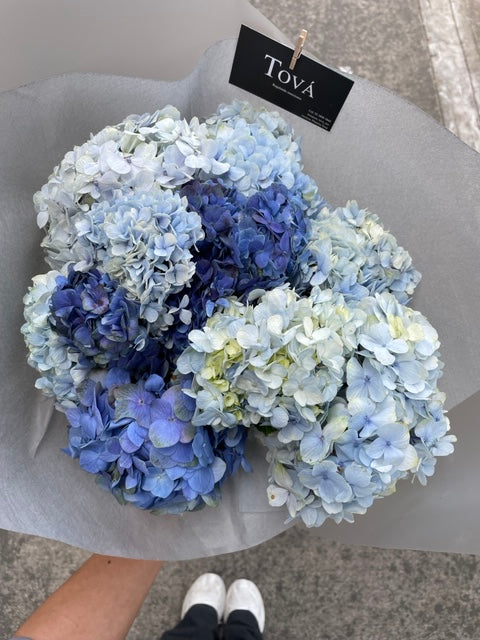 Hortensias azules.