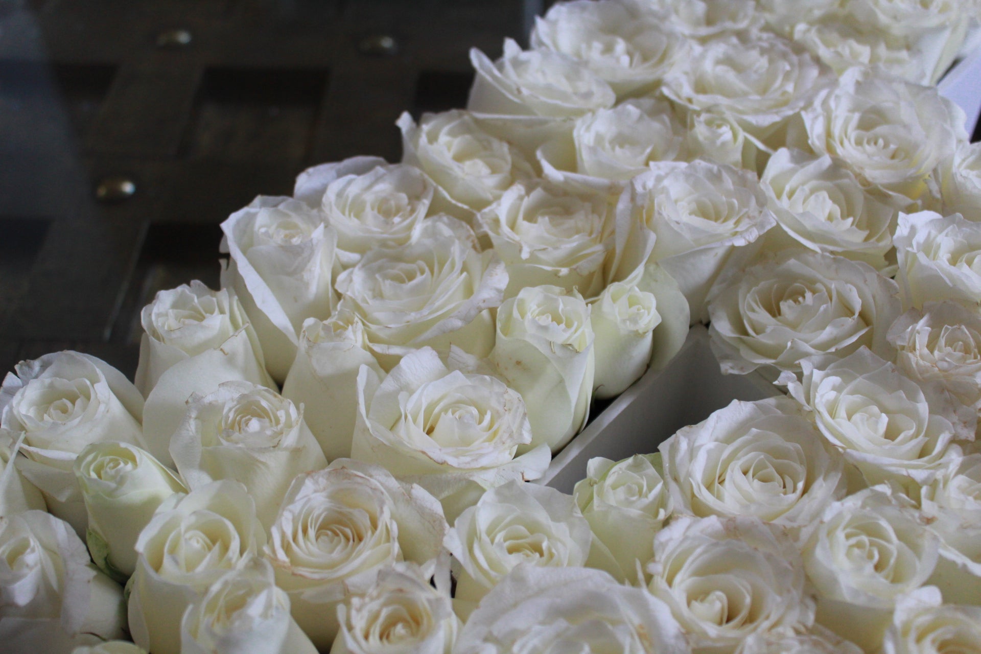 Letras con aproximadamente 100 rosas sobre caja de madera.