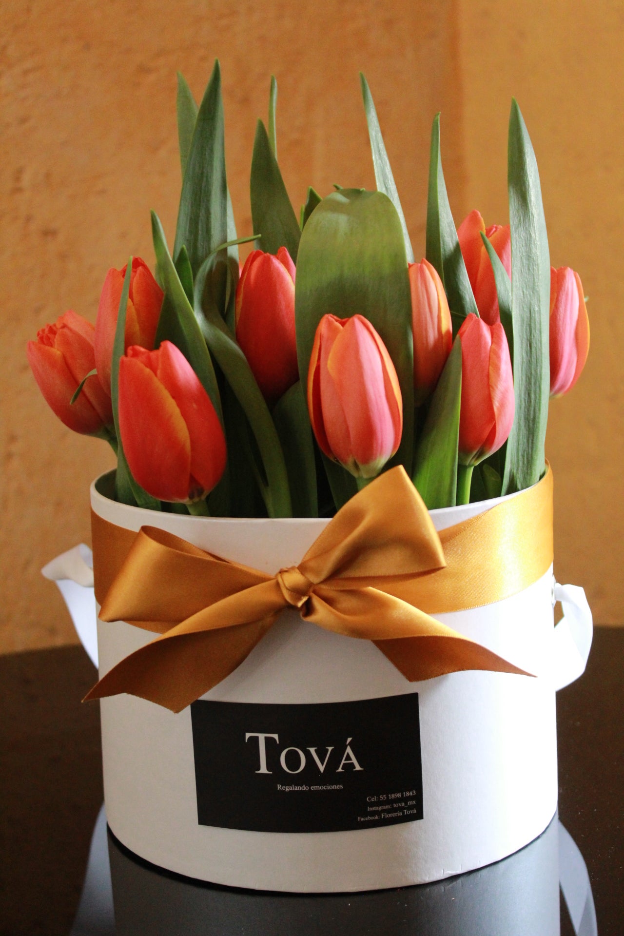 20 Tulipanes sobre caja de cartón rígido.