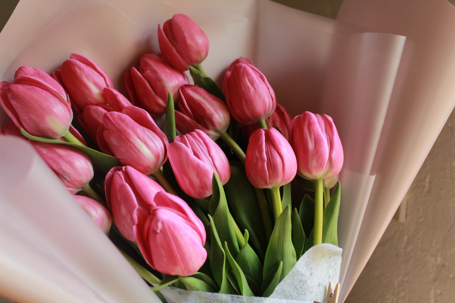 20 tulipanes en ramo.